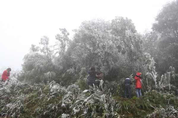 Snow ice at O Qui Ho mountain pass  - ảnh 9